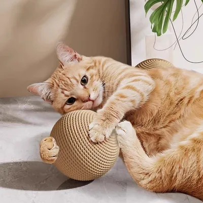 Pawzy Geflochtener Kratzball (8 cm) – Katzenspielzeug