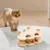 Pawzy Jouet Grattoir Taupe pour Chat - Stimule l'Instinct Naturel