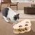 Pawzy Jouet Grattoir Taupe pour Chat - Stimule l'Instinct Naturel