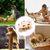 Pawzy Jouet Grattoir Taupe pour Chat - Stimule l'Instinct Naturel