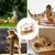 Pawzy Jouet Grattoir Taupe pour Chat - Stimule l'Instinct Naturel