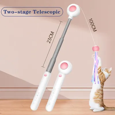 Pawzy Canne à pêche interactive pour chat