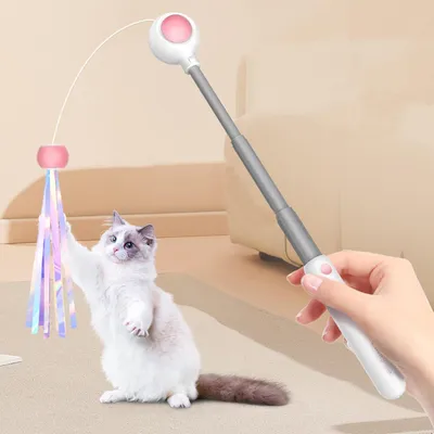 Pawzy Canne à pêche interactive pour chat