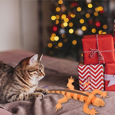 Pawzy Jouet interactif lézard pour chats