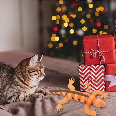 Pawzy Jouet interactif lézard pour chats