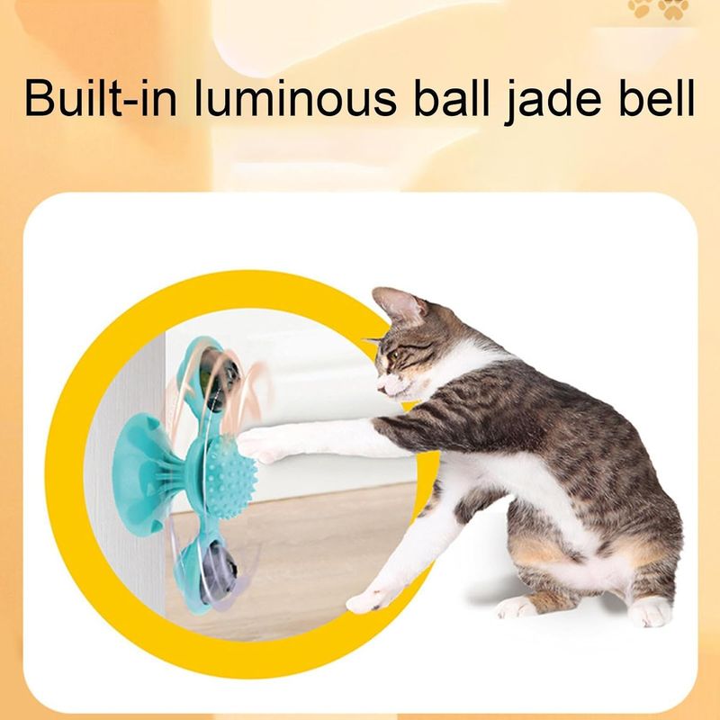 Pawzy Jouet interactif chat : Plateau tournant LED + masseur-brosse à dents