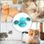 Pawzy Jouet interactif chat : Plateau tournant LED + masseur-brosse à dents