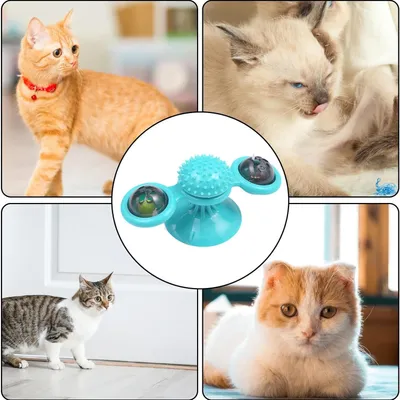 Pawzy Jouet interactif chat : Plateau tournant LED + masseur-brosse à dents