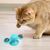 Pawzy Jouet interactif chat : Plateau tournant LED + masseur-brosse à dents