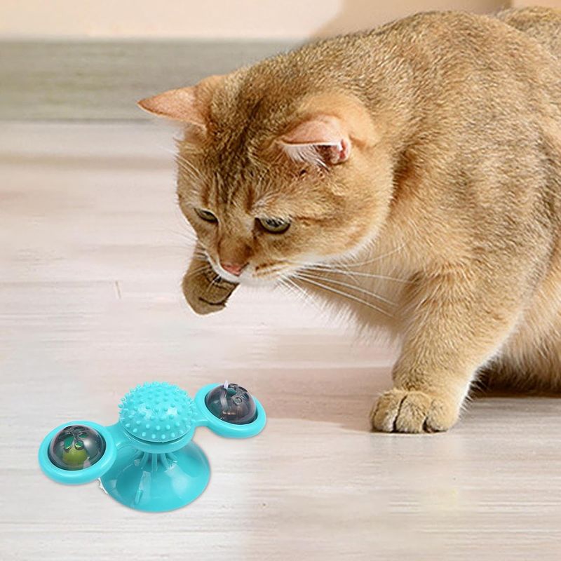 Pawzy Jouet interactif chat : Plateau tournant LED + masseur-brosse à dents