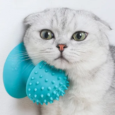 Pawzy Grattoir & Brosse Autonettoyant pour Chat
