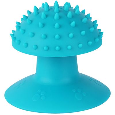Pawzy Grattoir & Brosse Autonettoyant pour Chat