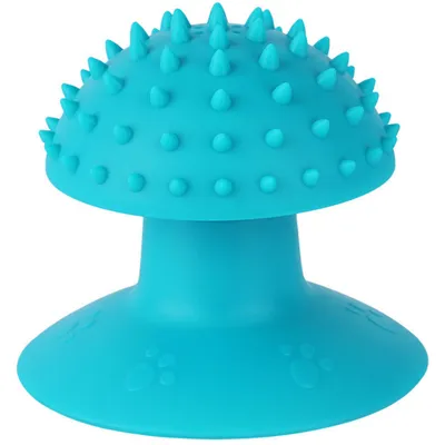 Pawzy Grattoir & Brosse Autonettoyant pour Chat