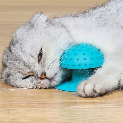 Pawzy Grattoir & Brosse Autonettoyant pour Chat