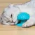 Pawzy Grattoir & Brosse Autonettoyant pour Chat
