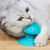 Pawzy Grattoir & Brosse Autonettoyant pour Chat