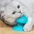 Pawzy Grattoir & Brosse Autonettoyant pour Chat