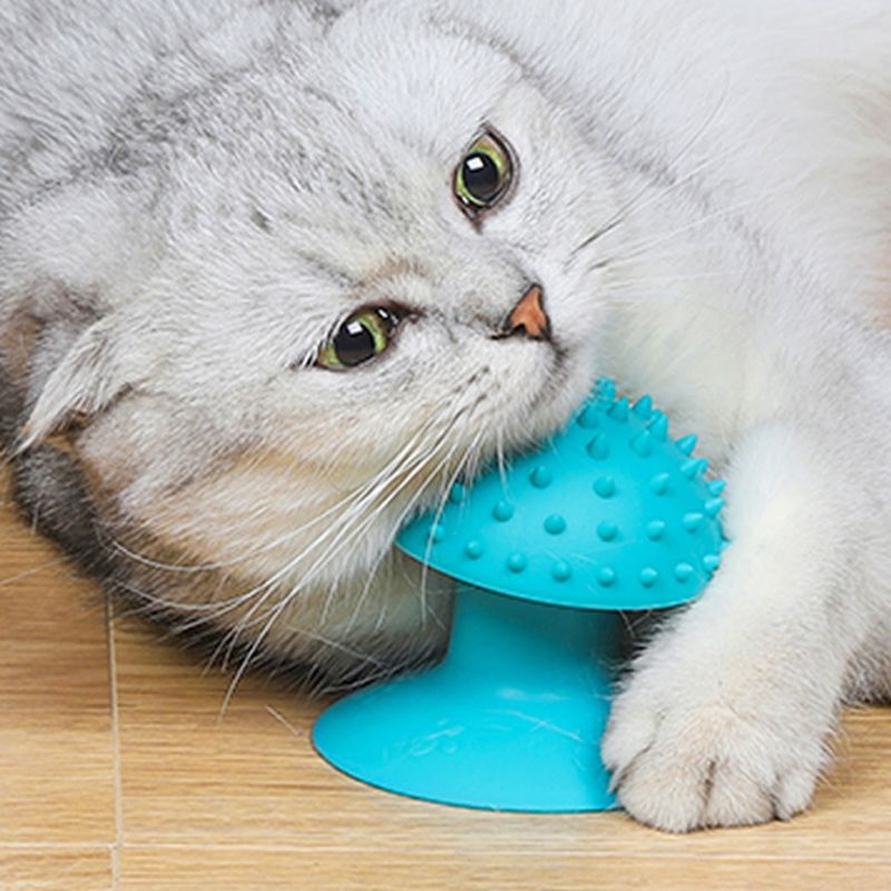 Pawzy Grattoir & Brosse Autonettoyant pour Chat