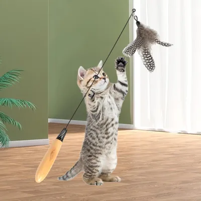 Pawzy Jouet à plume sur tige pour chat