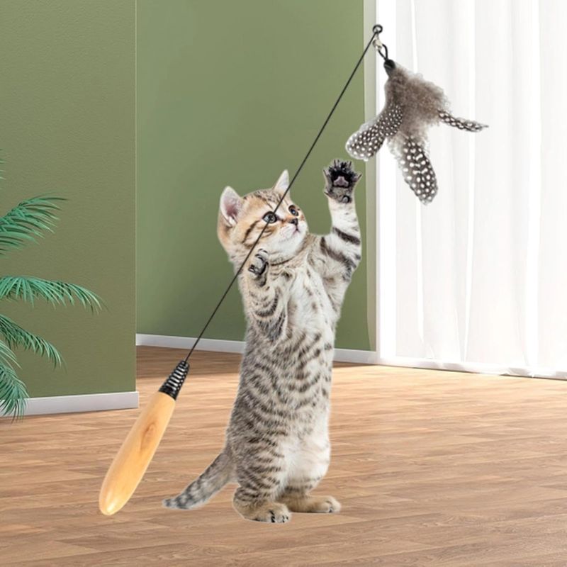 Pawzy Jouet à plume sur tige pour chat