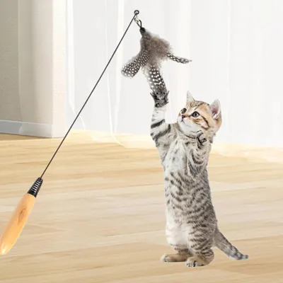 Pawzy Jouet à plume sur tige pour chat