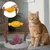Pawzy Dispenser interactif pour chat