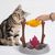 Pawzy Dispenser interactif pour chat