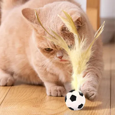 Pawzy Balle rebondissante pour chat