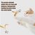 Pawzy Balle rebondissante pour chat