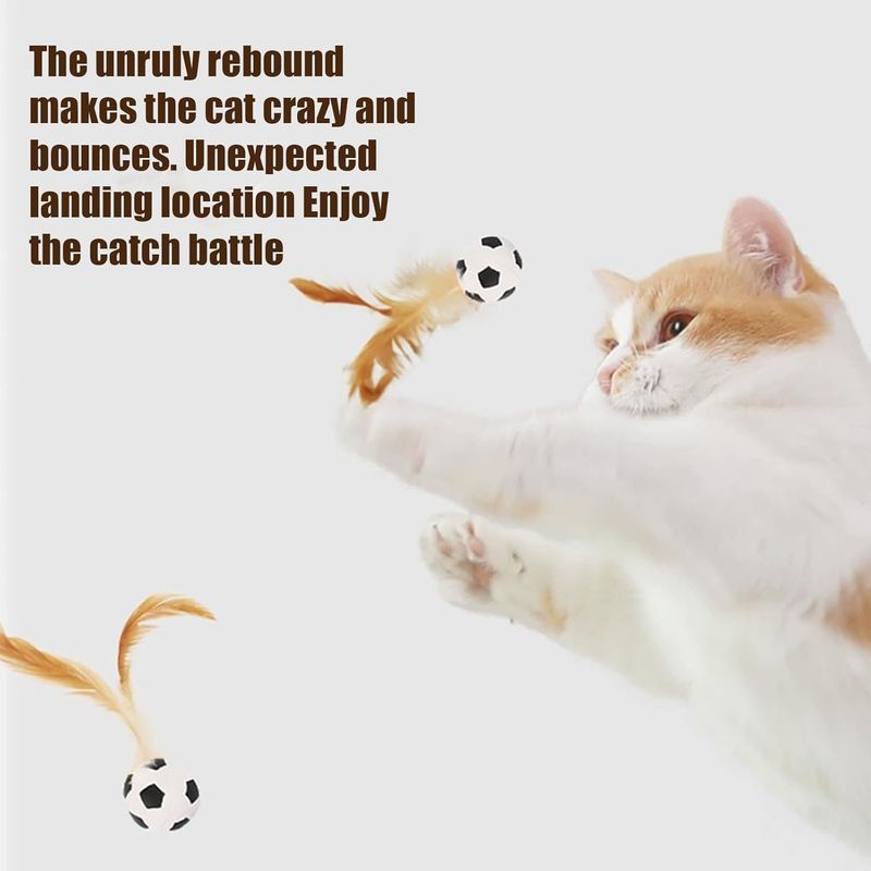 Pawzy Balle rebondissante pour chat