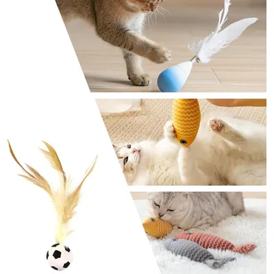 Pawzy Balle rebondissante pour chat