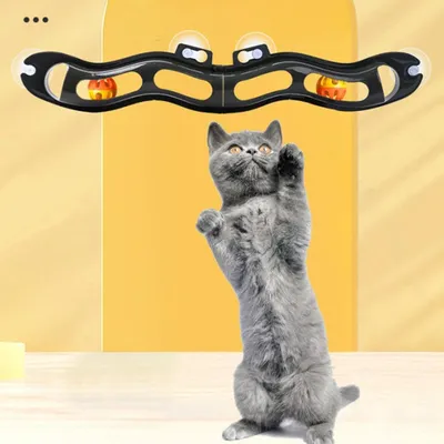 Pawzy Piste à boules ventousée pour chat