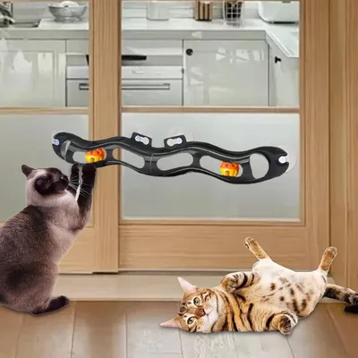 Pawzy Piste à boules ventousée pour chat