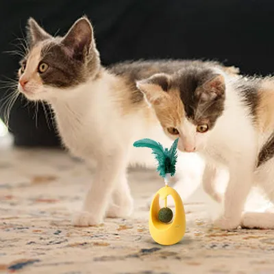 Pawzy Jouet automatique gobelets à plume pour chat