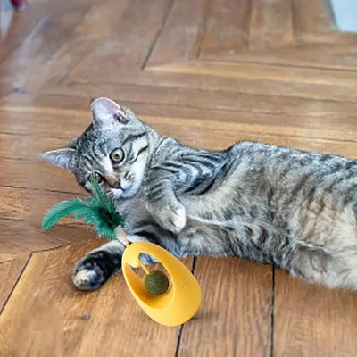 Pawzy Jouet automatique gobelets à plume pour chat