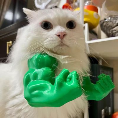 Pawzy Déguisement "Muscles" 4D pour Chat
