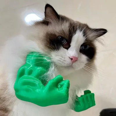 Pawzy Déguisement "Muscles" 4D pour Chat