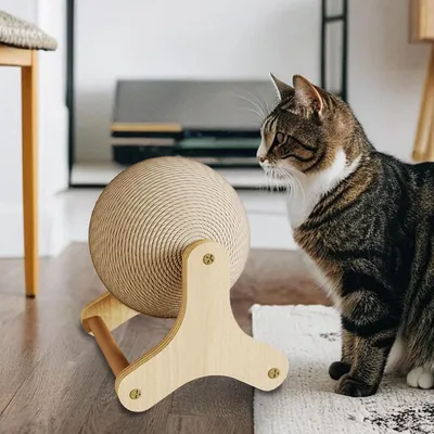 Pawzy Griffoir en sisal antidérapant pour chat