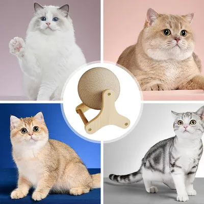 Pawzy Griffoir en sisal antidérapant pour chat