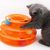 Pawzy Jouet à roulettes 4-en-1 pour chat