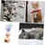 Pawzy Jouet interactif chat : Teaser à plumes pour chatons