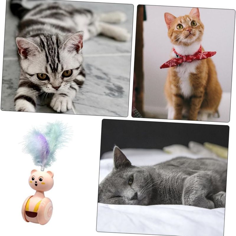 Pawzy Jouet interactif chat : Teaser à plumes pour chatons