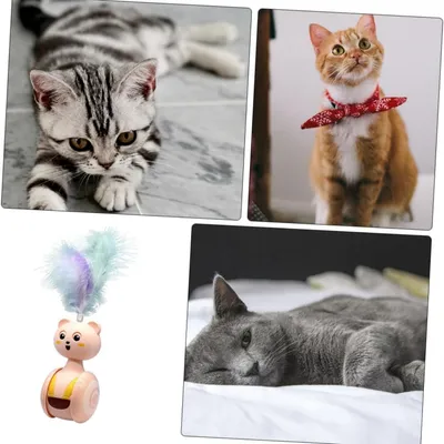 Pawzy Jouet interactif chat : Teaser à plumes pour chatons