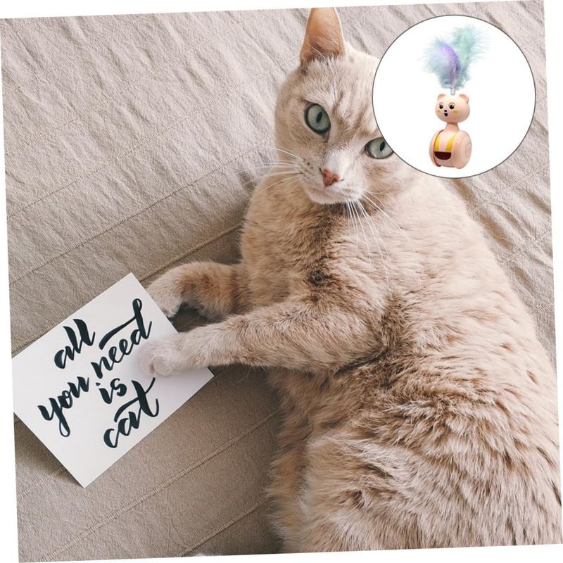 Pawzy Jouet interactif chat : Teaser à plumes pour chatons