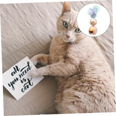 Pawzy Jouet interactif chat : Teaser à plumes pour chatons