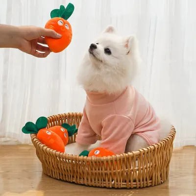 Pawzy Jouet couineur à mâcher en peluche pour chien et chat
