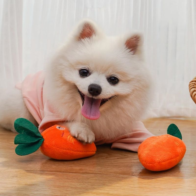 Pawzy Jouet couineur à mâcher en peluche pour chien et chat