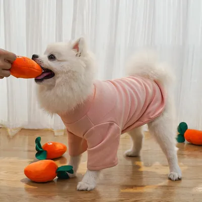 Pawzy Jouet couineur à mâcher en peluche pour chien et chat
