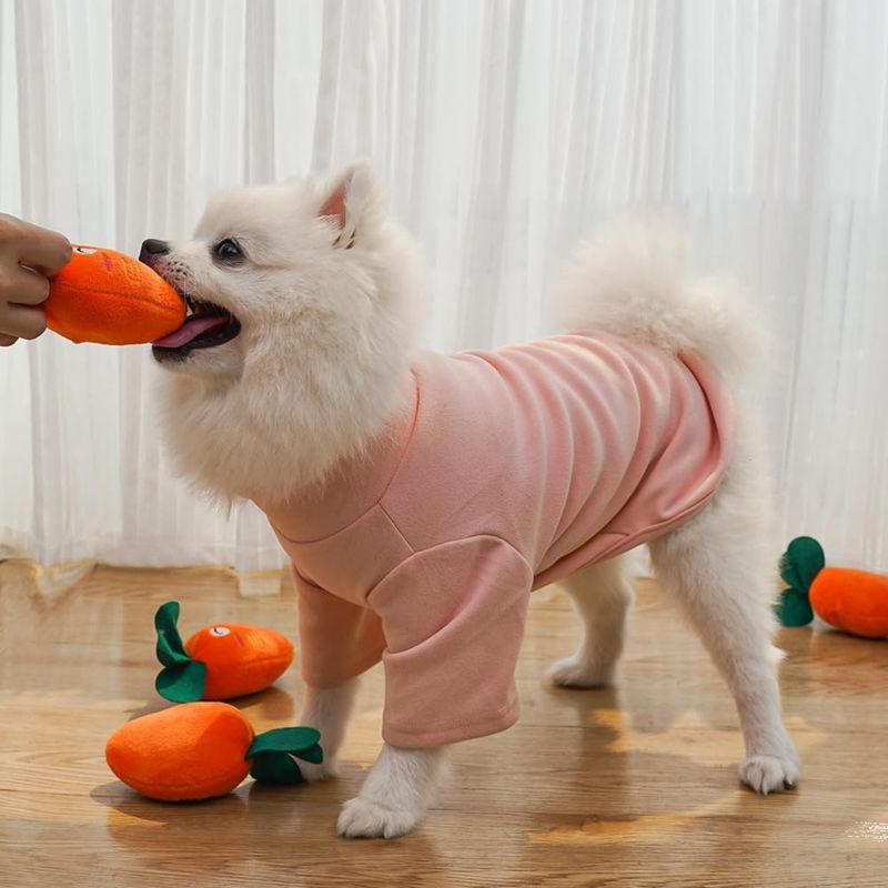 Pawzy Jouet couineur à mâcher en peluche pour chien et chat