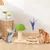 Pawzy Arbre à chat champignon interactif